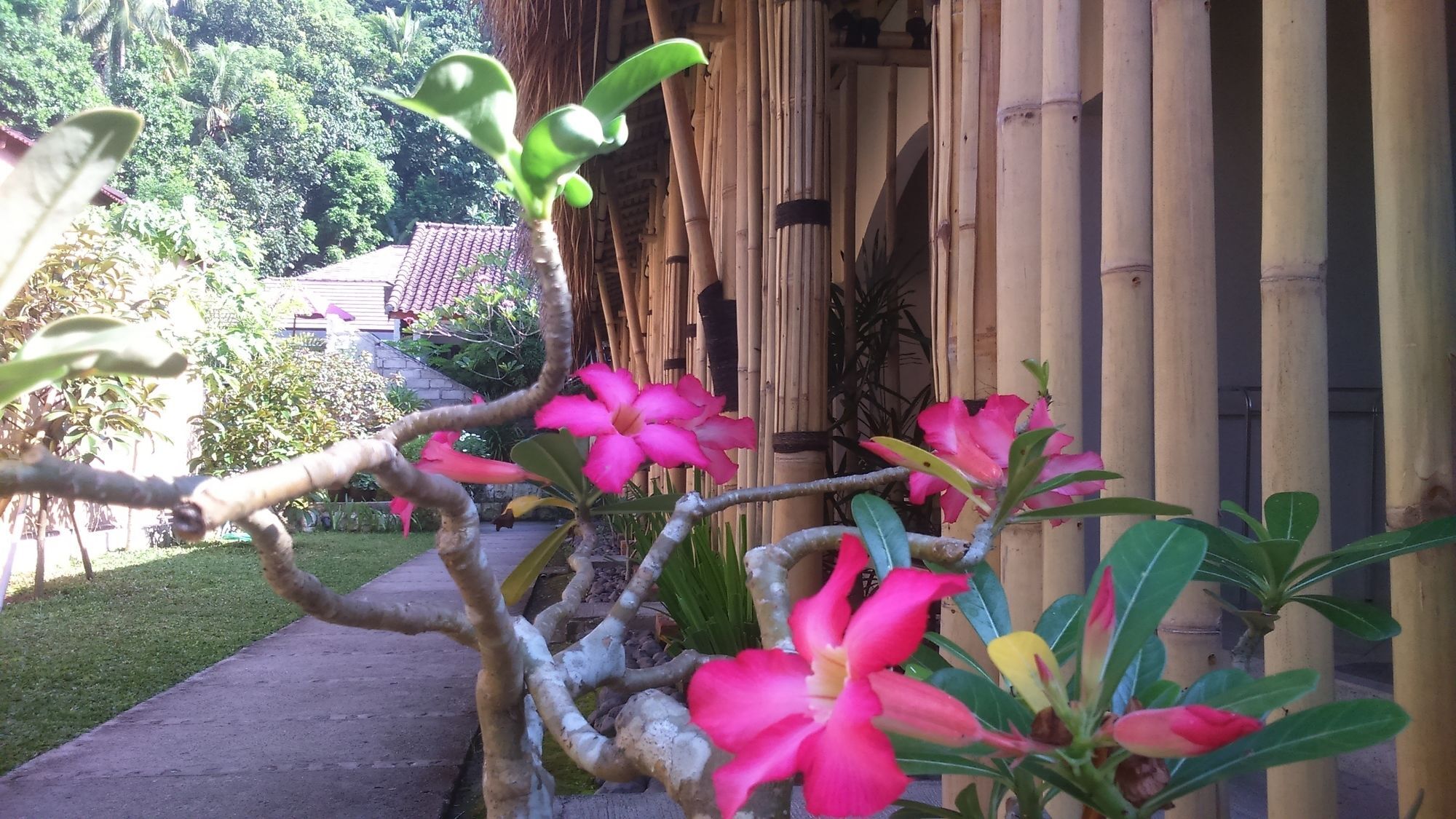 Senggigi Cottages Lombok Екстер'єр фото
